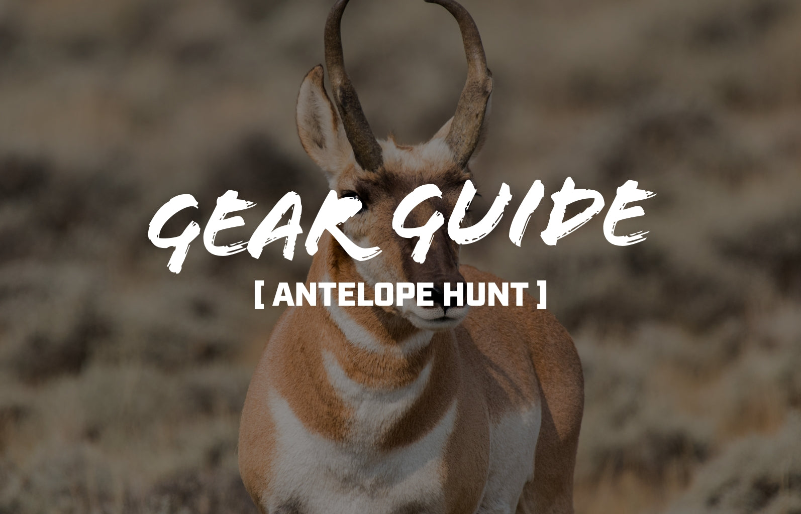 Antelope Gear Guide: Precision Equipment for a High-Stakes Hunt