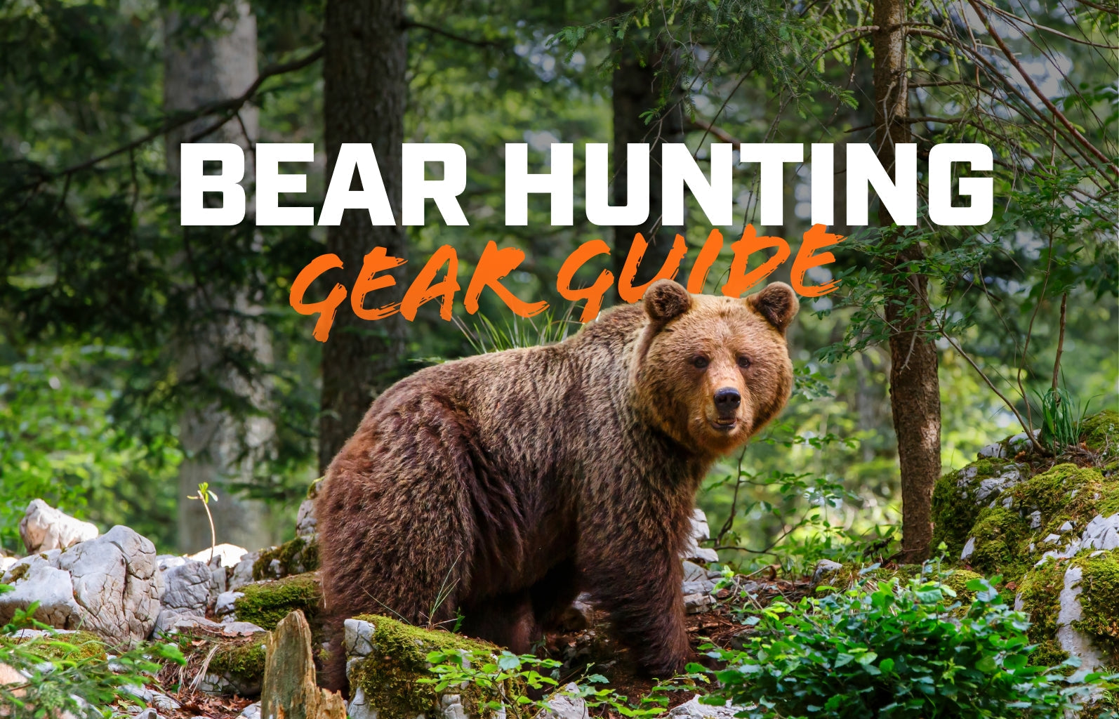 Bear Hunting Gear Guide: Everything You Need for a Safe and Successful Hunt